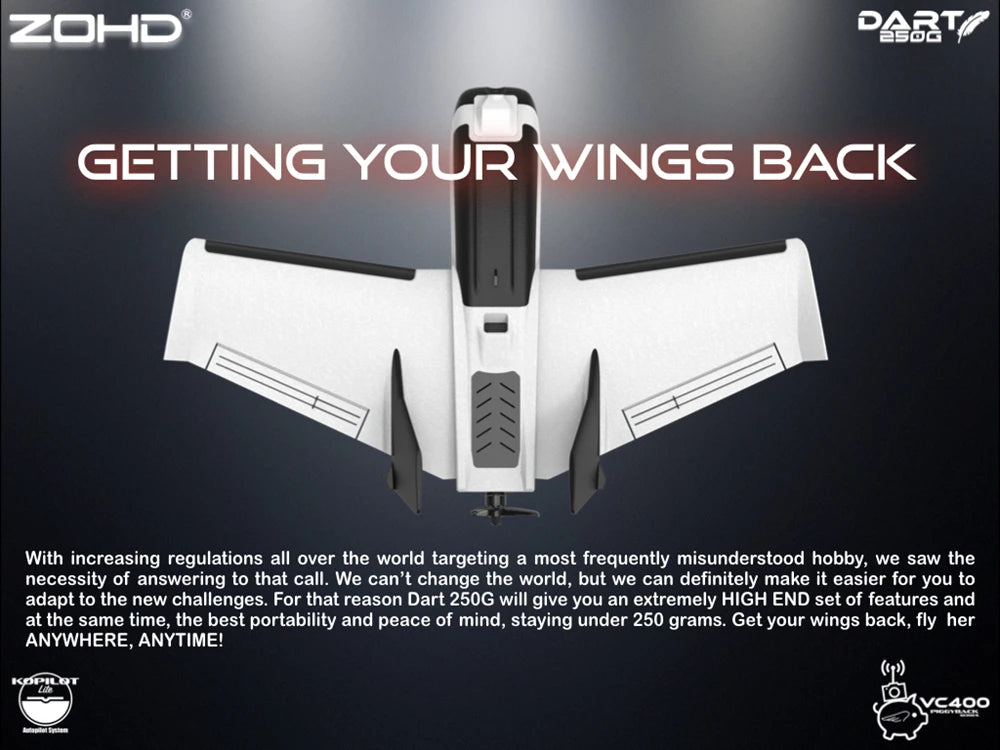 Sub-250 grams Sweep Forward Wing Airplane