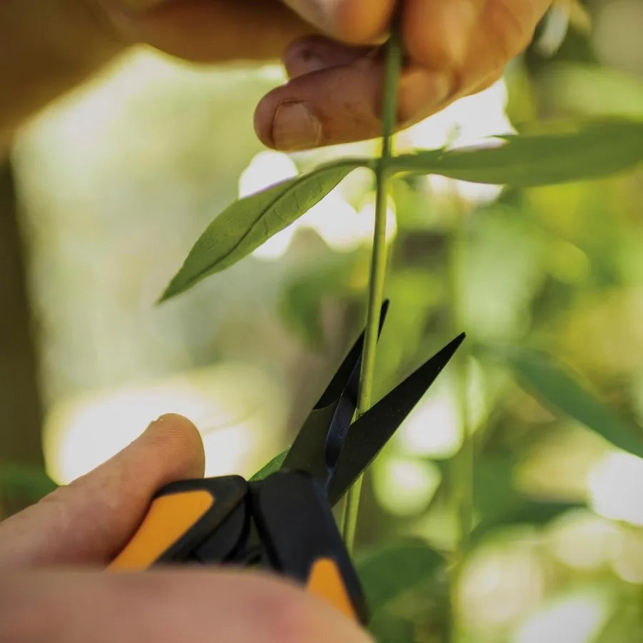 Pruning Snips 6 Garden Shears with Comfort Grip