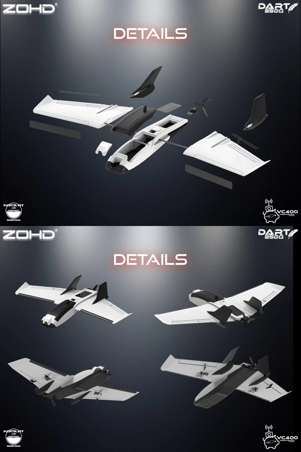 Sub-250 grams Sweep Forward Wing Airplane