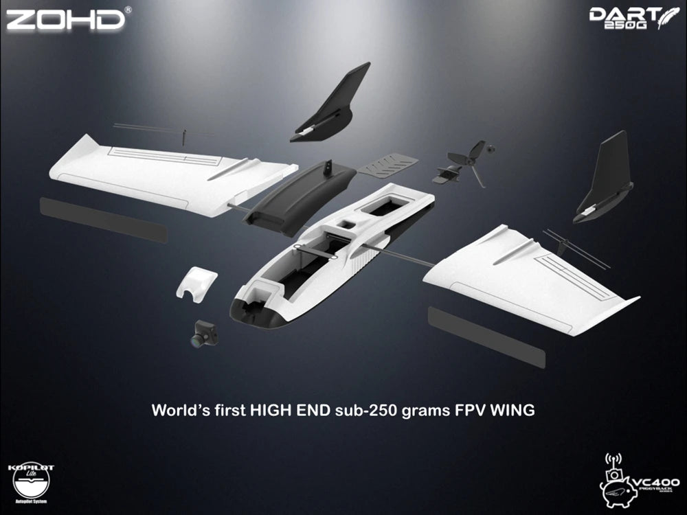 Sub-250 grams Sweep Forward Wing Airplane