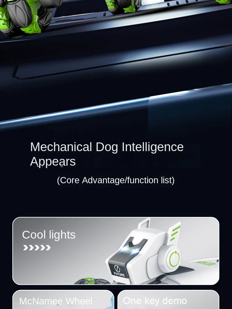 RC Robot Spray Dog Lights Music