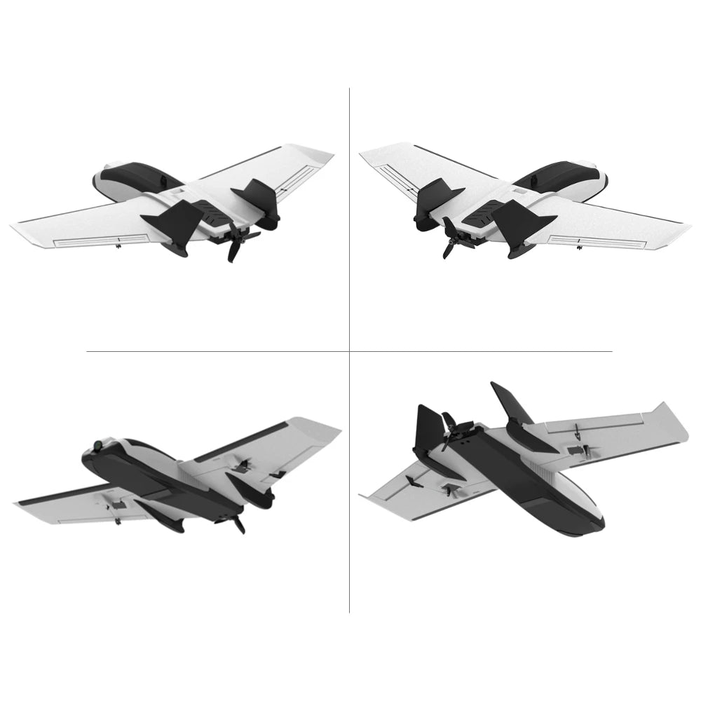 Sub-250 grams Sweep Forward Wing Airplane
