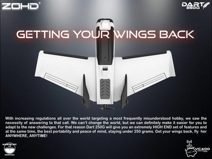 Sub-250 grams Sweep Forward Wing Airplane
