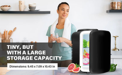 iPower Mini 4L/6 Tank Portable Small Refrigerator