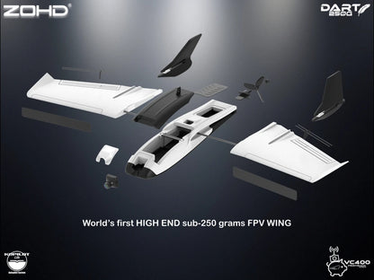 Sub-250 grams Sweep Forward Wing Airplane
