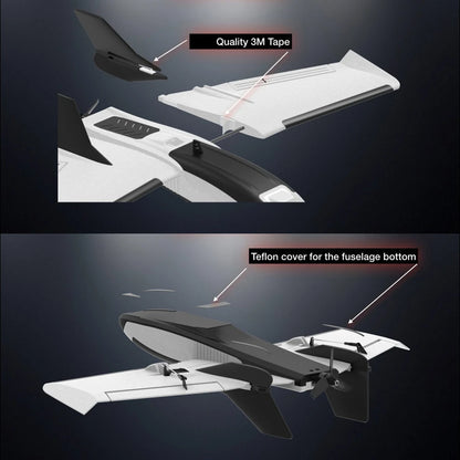 Sub-250 grams Sweep Forward Wing Airplane